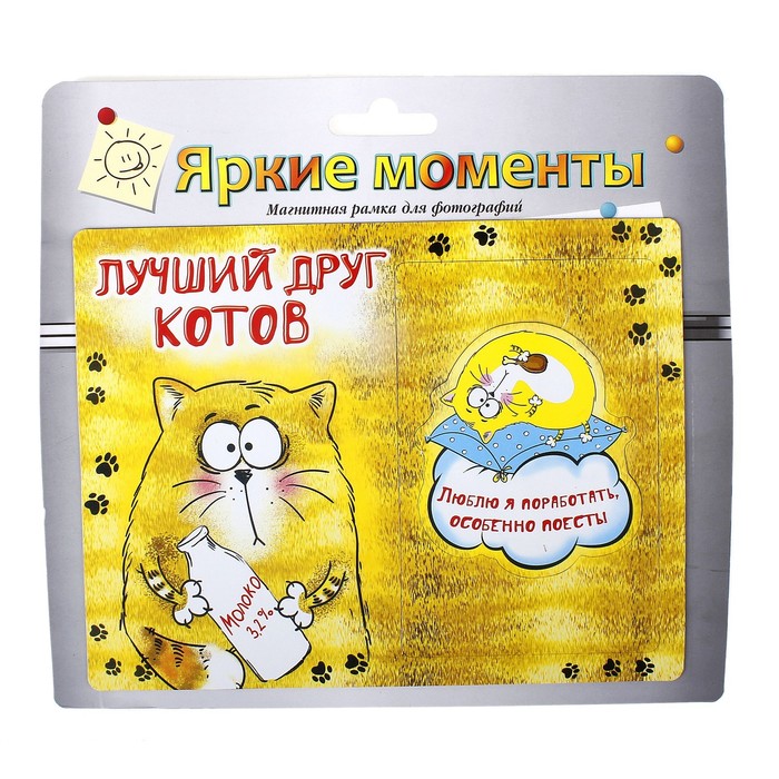 Фоторамка магнитная "Лучший друг котов", 1 фото 10х15 см