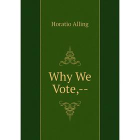 

Книга Why We Vote