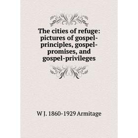 

Книга The cities of refuge: pictures of gospel-principles, gospel-promises, and gospel-privileges