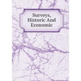 

Книга Surveys, Historic And Economic