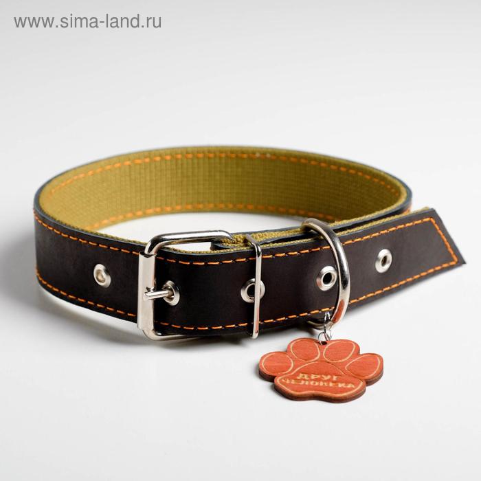 

Ошейник комбинированный кожа/брезент, 49 - 62 см, 67 х 3.6 см,