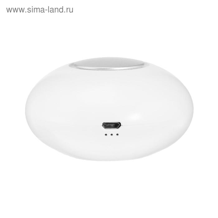 

Озонатор воздуха портативный LHU-17, 5мг/ч, 0.4 Вт, от акб, белый