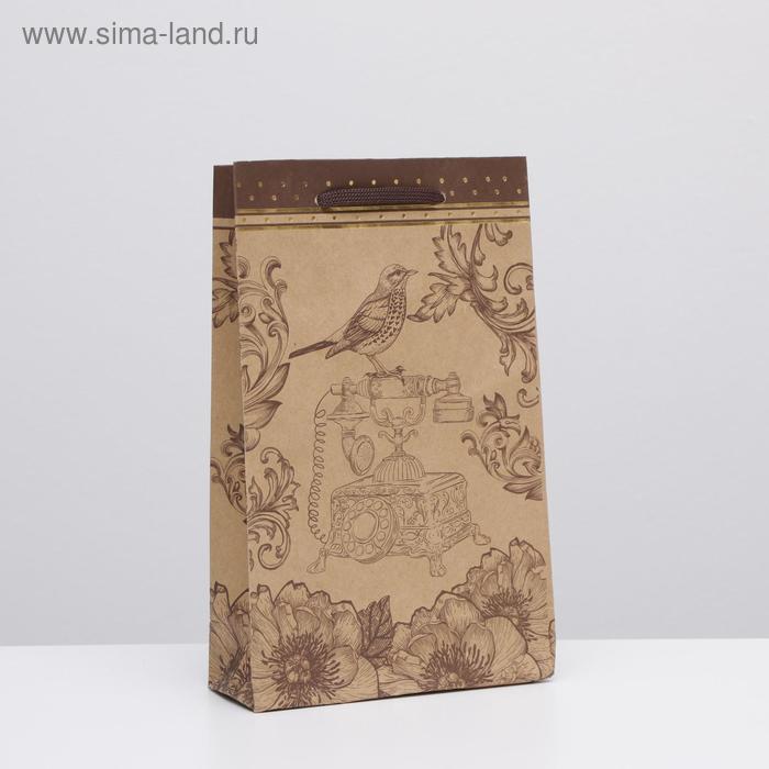 

Пакет подарочный крафт "Соловей" 26,5 x 16,5 x 7 см