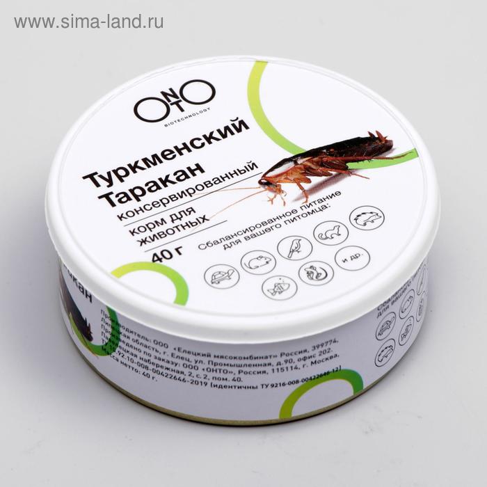 Консервированный корм ONTO для животных, туркменский таракан, 40 г цена и фото