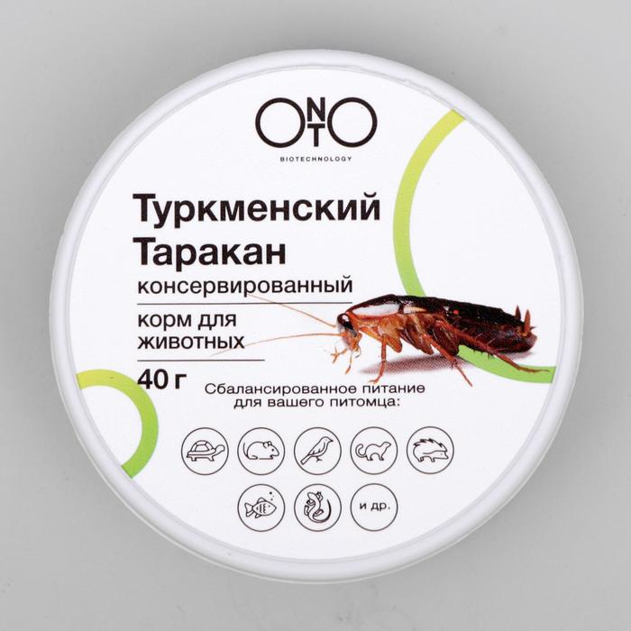 Консервированный корм ONTO для животных, туркменский таракан, 40 г