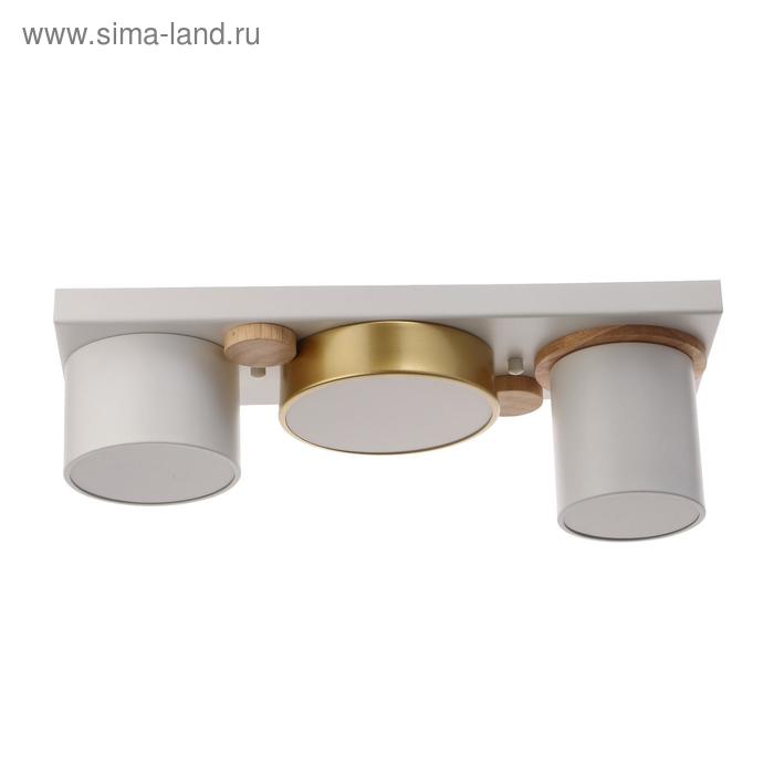 

Светильник 35431/3 LED 30Вт 3000-6000К белый-золото 35х15х15 см