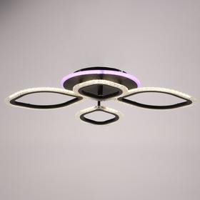 

Люстра с ПДУ 10022/4BK LED 85Вт 3000-6000К диммер черный 67х53х10 см