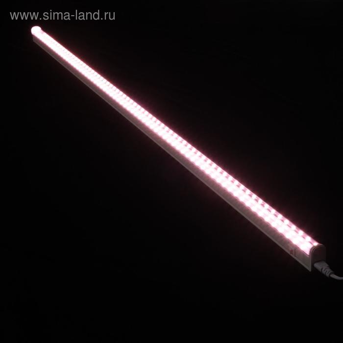 фото Фитосветильник светодиодный uniel, 35 вт, 1150 мм, ip40, 265 в, полноспектральный, с выкл.
