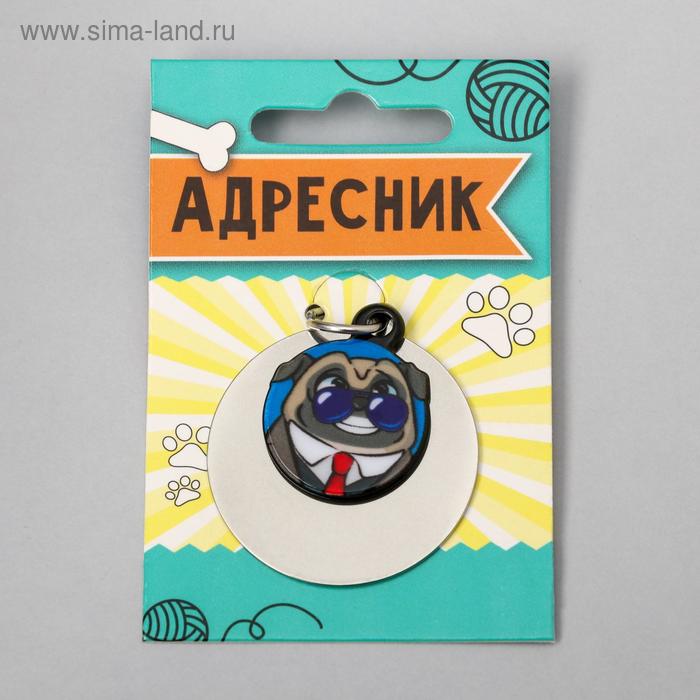 Адресник под гравировку подвес акрил Мопс 3х3 см 40₽