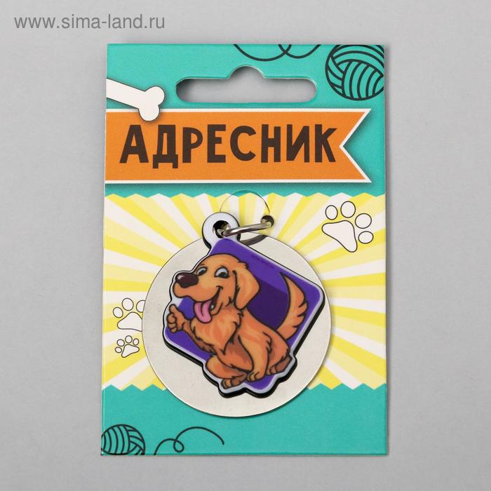 

Адресник под гравировку + подвес акрил «Барбос», 4х4 см