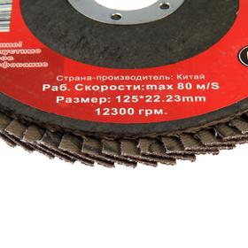 

Круг лепестковый торцевой STRONG СTУ-243125040, 125х22 мм, Р40