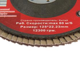 

Круг лепестковый торцевой STRONG СTУ-243125120, 125х22 мм, Р120