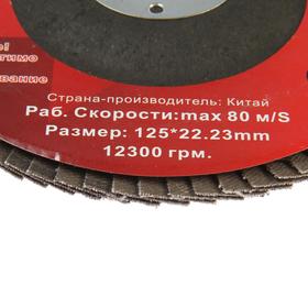 

Круг лепестковый торцевой STRONG СTУ-243125150, 125х22 мм, Р150