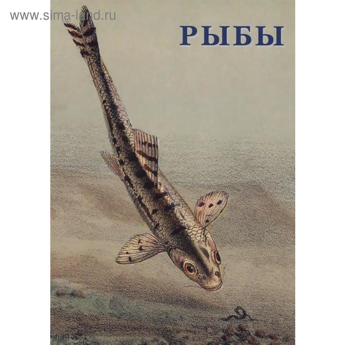 

Рыбы