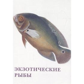 

Экзотические рыбы