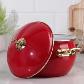 

Кастрюля Premium, 4 л, d=20 см, цвет красный
