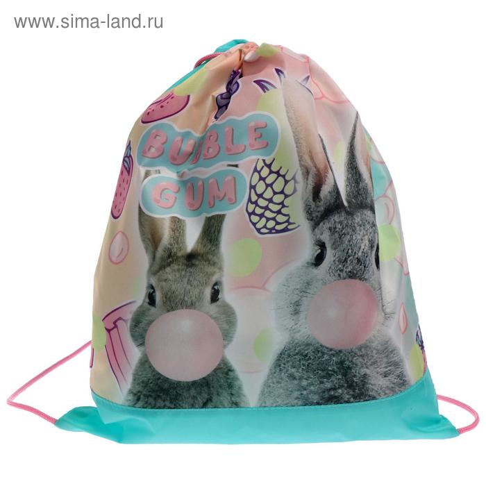 

Мешок для обуви, 420 х 340 мм, СДС-3, Bubble Gum