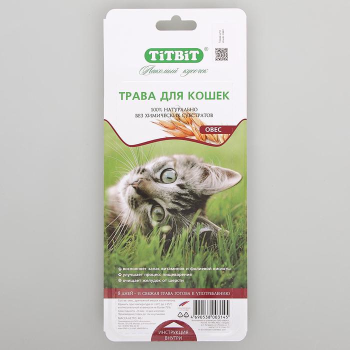 Трава Titbit для кошек овес