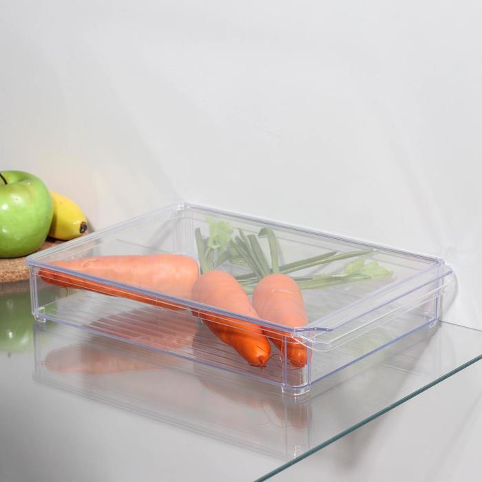 Органайзер для холодильника с крышкой IDEA, 20×30×5 см, цвет прозрачный