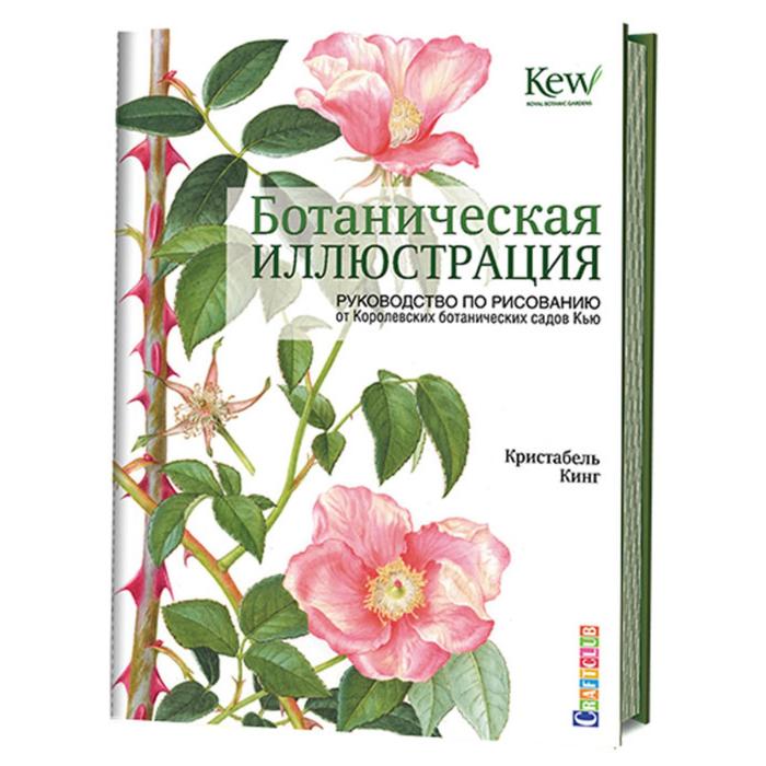 Ботаническая иллюстрация. Руководство по рисованию от Королевских ботанических садов Кью