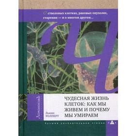 

Чудесная жизнь клеток: как мы живем и почему мы умираем