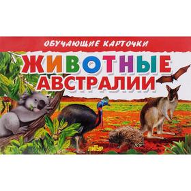 

Животные Австралии