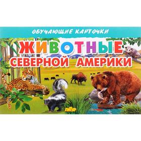 

Животные Северной Америки