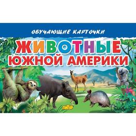 

Животные Южной Америки