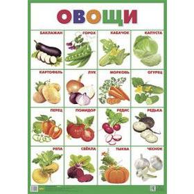 

Овощи