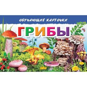 

Грибы