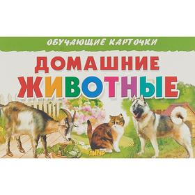 

Домашние животные