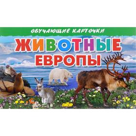 

Животные Европы