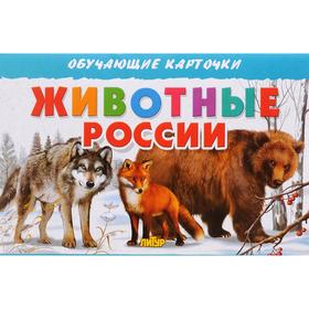 

Животные России