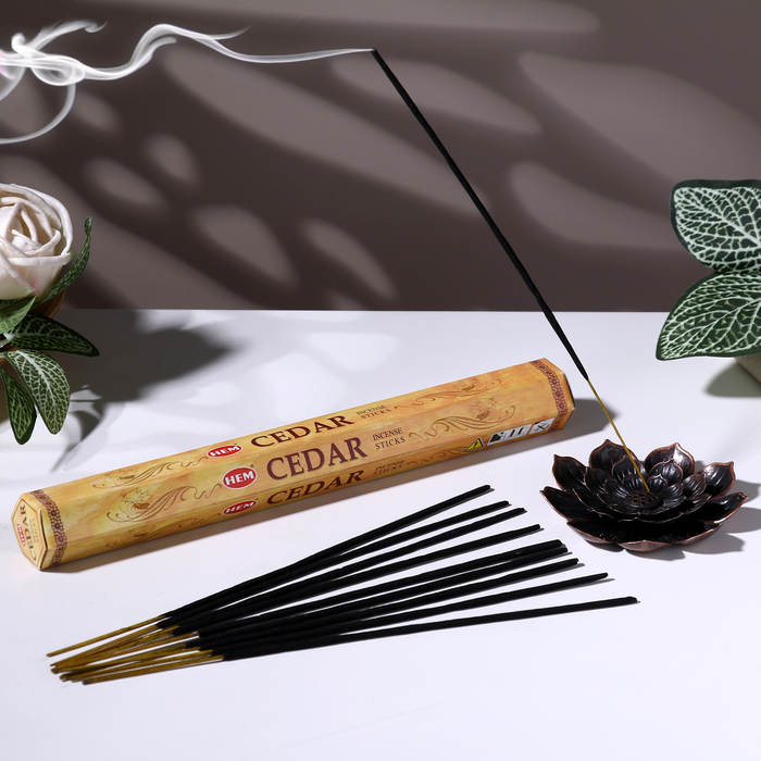 

Благовония HEM "Cedar Кедр", 20 палочек в упаковке, шестигранник