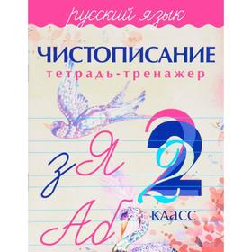 

Чистописание. Русский язык 2 класс. Латынина А.