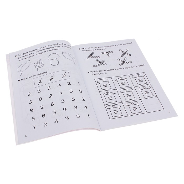 Готовимся к школе "Развитие внимания и логического мышления" 4-6 лет. Автор: Бортникова Е.