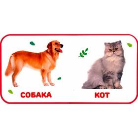 

Домашние животные