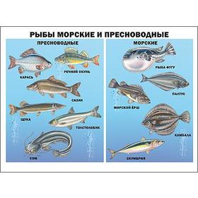 

Рыбы морские и пресноводные