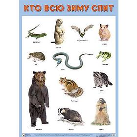

Кто всю зиму спит