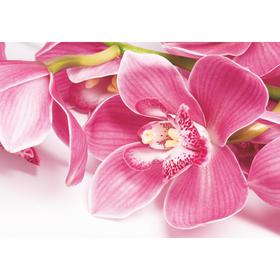 Фотообои 'Орхидея' (4 листа)  200*140 см Ош