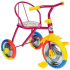 Велосипед трёхколёсный Micio TR-313, колёса 10"/8", цвет красный, голубой, розовый, зелёный, синий, жёлтый - Фото 5