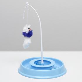 

Игровой комплекс для кошек "Весёлая рыбалка", 27,5 х 4,5 см, голубой