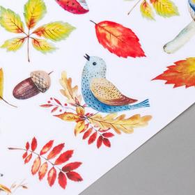 

Набор стикеров "Colors of Autumn" 35 шт