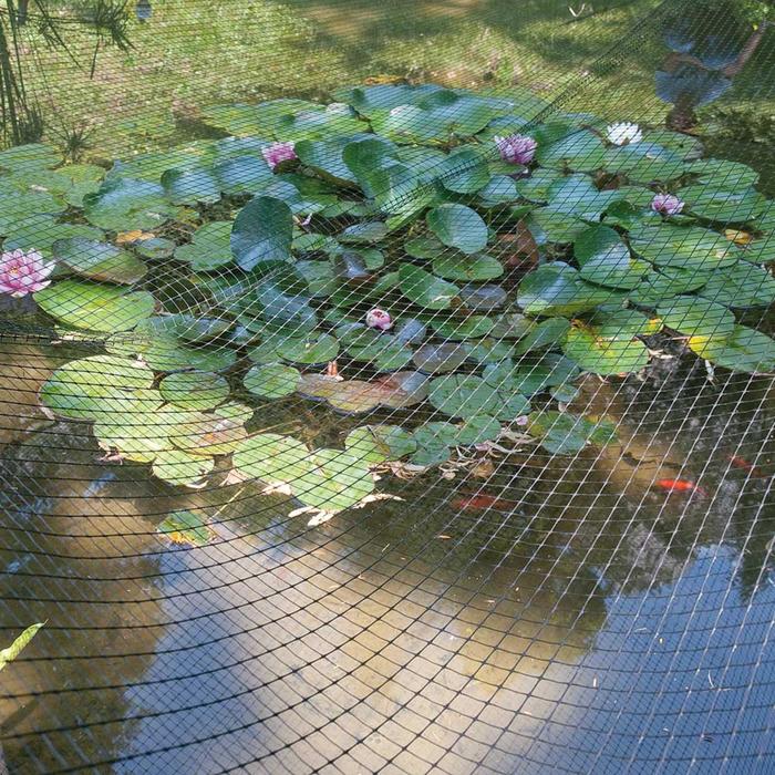 

Сетка садовая, 2 × 200 м, ячейка 1,6 × 1,9 см, пластик, AVIARY