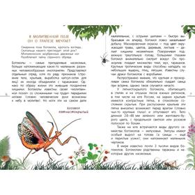 

Наши насекомые. Определитель для детей. Полевод В.