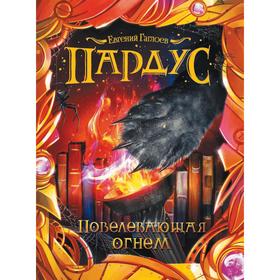 

Пардус. Повелевающий огнем. Гаглоев Е.