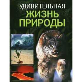 

Удивительная жизнь природы