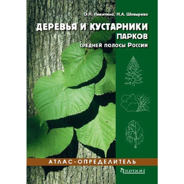 Деревья и кустарники парков средней полосы России