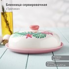 «Тропики»