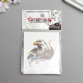 

Татуировка на тело "Голова орла"